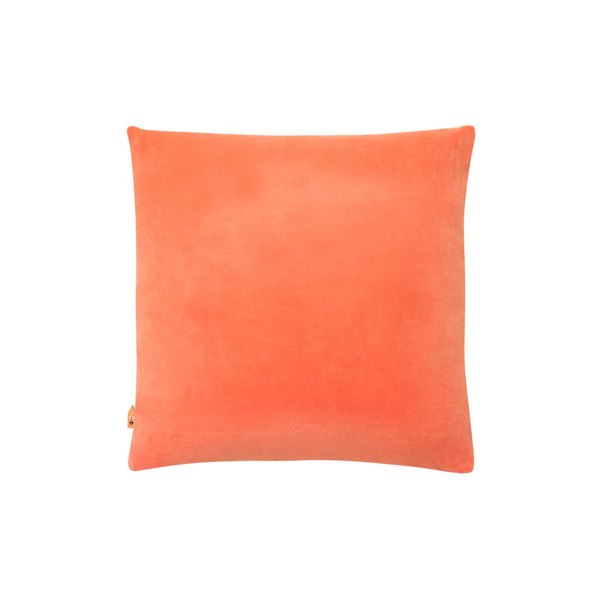 Switch Cushion Coral