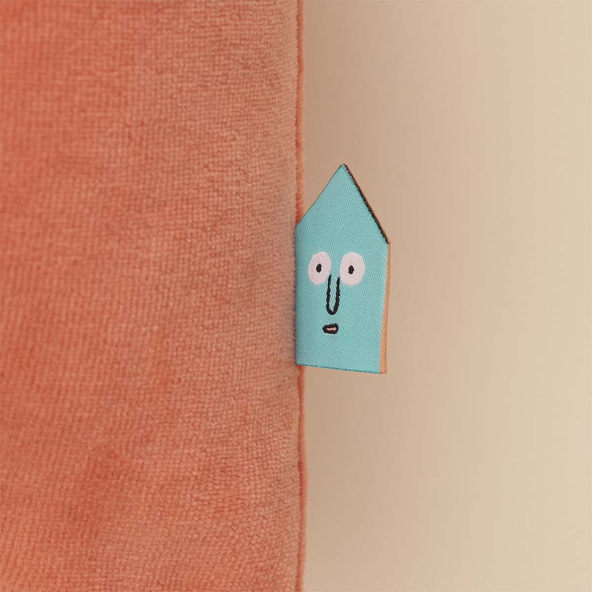 Switch Cushion Coral
